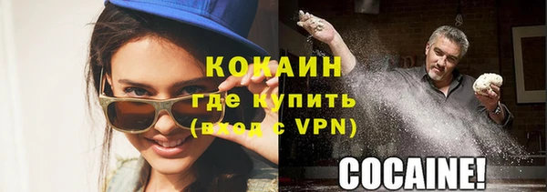 винт Верея