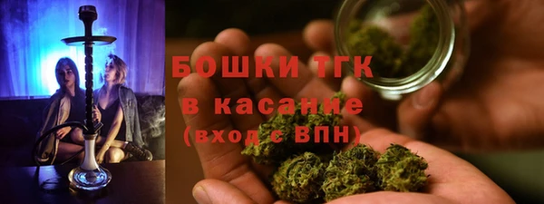ПСИЛОЦИБИНОВЫЕ ГРИБЫ Верхний Тагил