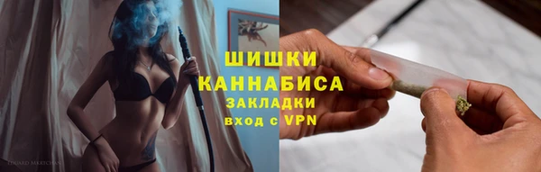 винт Верея