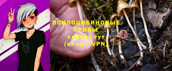 ПСИЛОЦИБИНОВЫЕ ГРИБЫ Верхний Тагил