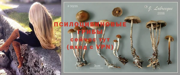 ПСИЛОЦИБИНОВЫЕ ГРИБЫ Верхний Тагил